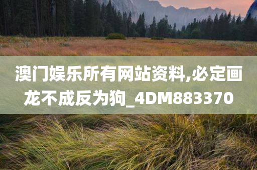 澳门娱乐所有网站资料,必定画龙不成反为狗_4DM883370