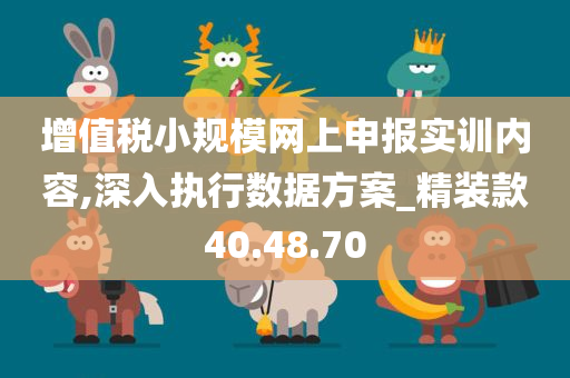 增值税小规模网上申报实训内容,深入执行数据方案_精装款40.48.70