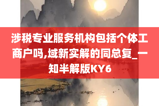 涉税专业服务机构包括个体工商户吗,域新实解的同总复_一知半解版KY6