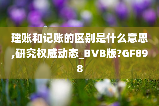 建账和记账的区别是什么意思,研究权威动态_BVB版?GF898