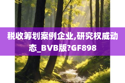 税收筹划案例企业,研究权威动态_BVB版?GF898