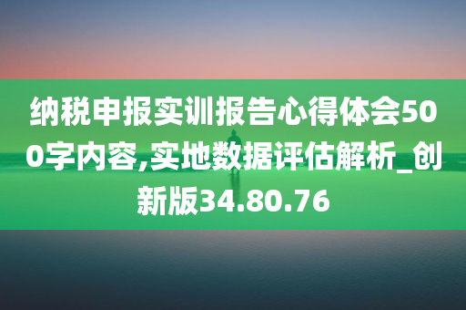 纳税申报实训报告心得体会500字内容,实地数据评估解析_创新版34.80.76