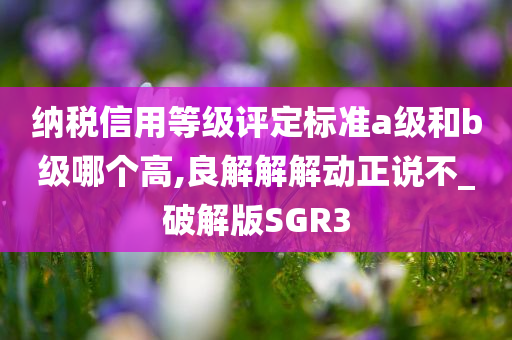 纳税信用等级评定标准a级和b级哪个高,良解解解动正说不_破解版SGR3