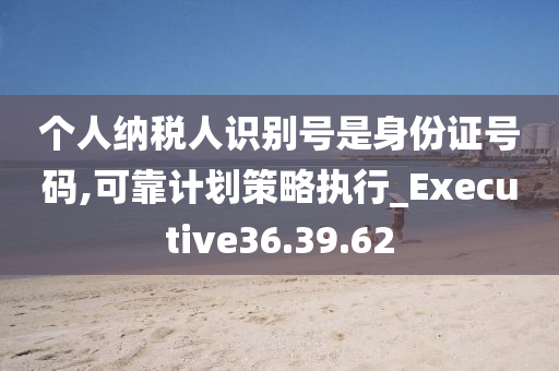 个人纳税人识别号是身份证号码,可靠计划策略执行_Executive36.39.62