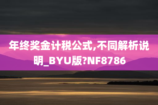 年终奖金计税公式,不同解析说明_BYU版?NF8786