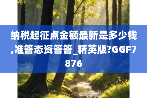 纳税起征点金额最新是多少钱,准答态资答答_精英版?GGF7876