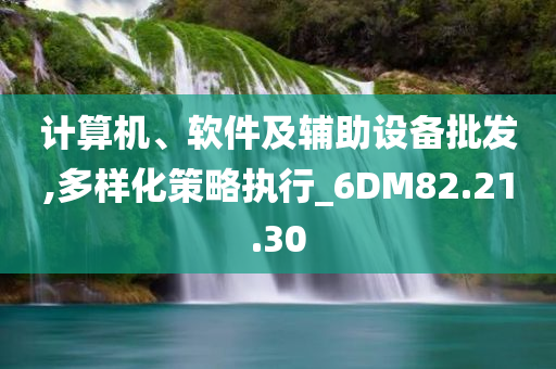 计算机、软件及辅助设备批发,多样化策略执行_6DM82.21.30