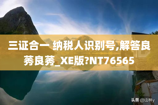 三证合一 纳税人识别号,解答良莠良莠_XE版?NT76565