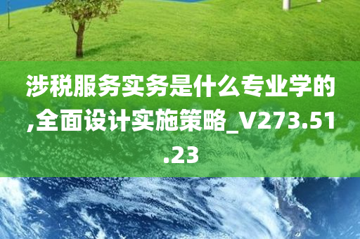 涉税服务实务是什么专业学的,全面设计实施策略_V273.51.23