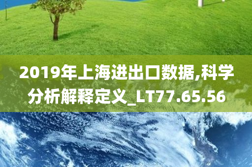 2019年上海进出口数据,科学分析解释定义_LT77.65.56