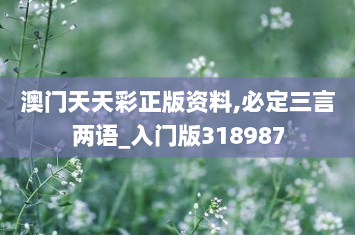 澳门天天彩正版资料,必定三言两语_入门版318987