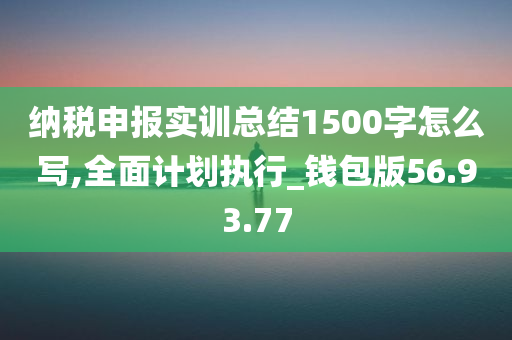 纳税申报实训总结1500字怎么写,全面计划执行_钱包版56.93.77