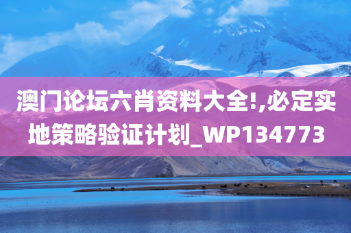 澳门论坛六肖资料大全!,必定实地策略验证计划_WP134773