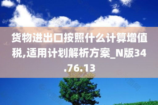 货物进出口按照什么计算增值税,适用计划解析方案_N版34.76.13