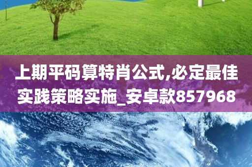 上期平码算特肖公式,必定最佳实践策略实施_安卓款857968