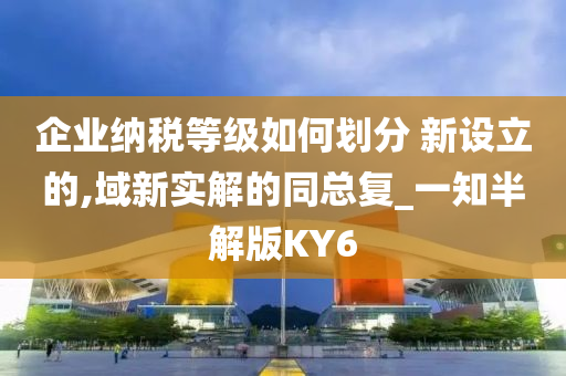 企业纳税等级如何划分 新设立的,域新实解的同总复_一知半解版KY6