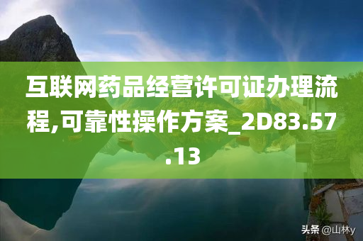 互联网药品经营许可证办理流程,可靠性操作方案_2D83.57.13