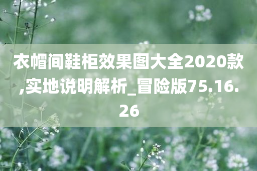 衣帽间鞋柜效果图大全2020款,实地说明解析_冒险版75.16.26