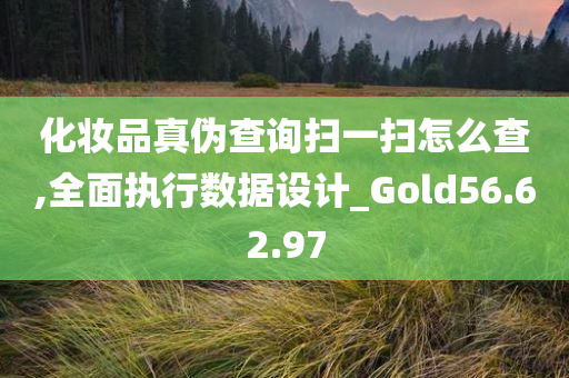 化妆品真伪查询扫一扫怎么查,全面执行数据设计_Gold56.62.97