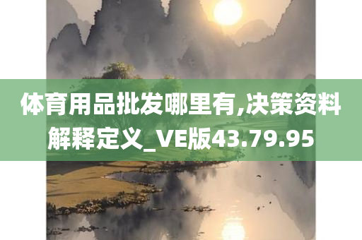 体育用品批发哪里有,决策资料解释定义_VE版43.79.95