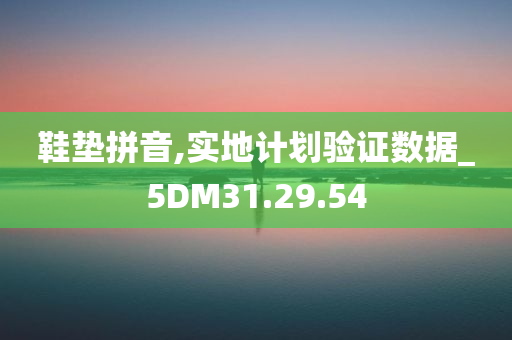 鞋垫拼音,实地计划验证数据_5DM31.29.54