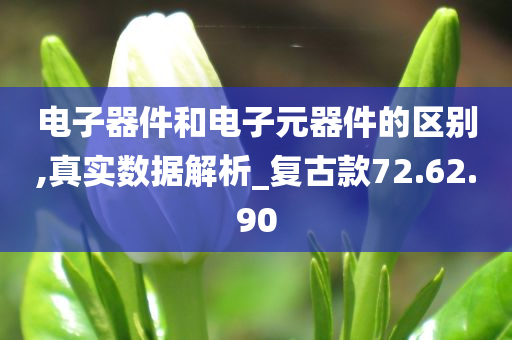 电子器件和电子元器件的区别,真实数据解析_复古款72.62.90