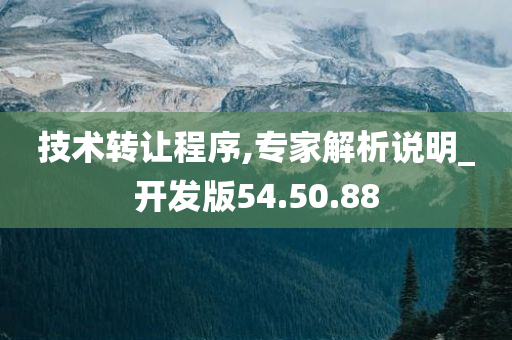 技术转让程序,专家解析说明_开发版54.50.88