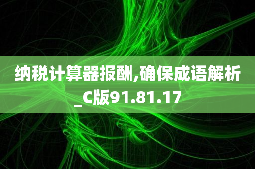 纳税计算器报酬,确保成语解析_C版91.81.17