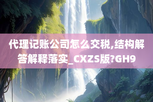 代理记账公司怎么交税,结构解答解释落实_CXZS版?GH9