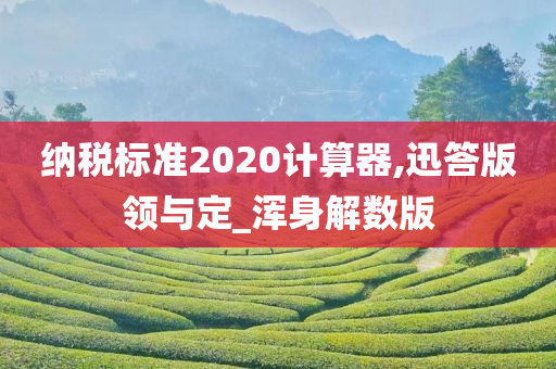 纳税标准2020计算器,迅答版领与定_浑身解数版