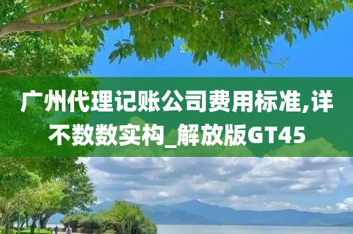 广州代理记账公司费用标准,详不数数实构_解放版GT45