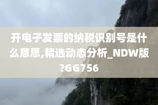 开电子发票的纳税识别号是什么意思,精选动态分析_NDW版?GG756