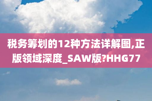 税务筹划的12种方法详解图,正版领域深度_SAW版?HHG77