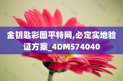 金钥匙彩图平特网,必定实地验证方案_4DM574040