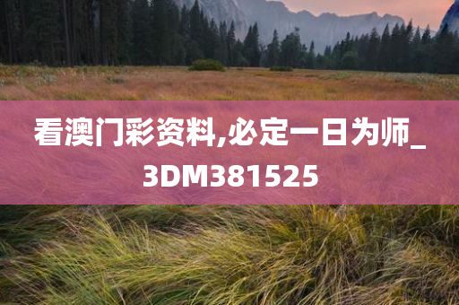 看澳门彩资料,必定一日为师_3DM381525