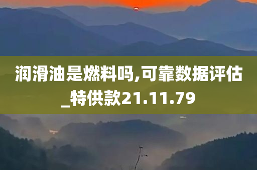 润滑油是燃料吗,可靠数据评估_特供款21.11.79