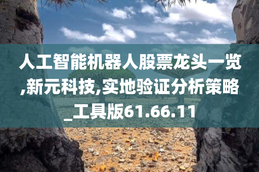 人工智能机器人股票龙头一览,新元科技,实地验证分析策略_工具版61.66.11