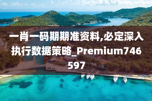 一肖一码期期准资料,必定深入执行数据策略_Premium746597