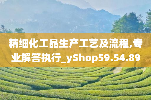 精细化工品生产工艺及流程,专业解答执行_yShop59.54.89