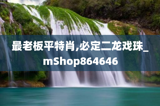 最老板平特肖,必定二龙戏珠_mShop864646