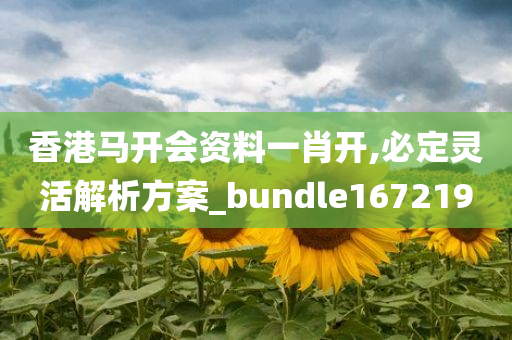 香港马开会资料一肖开,必定灵活解析方案_bundle167219