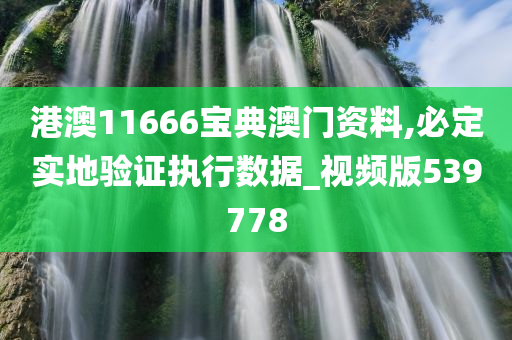 港澳11666宝典澳门资料,必定实地验证执行数据_视频版539778