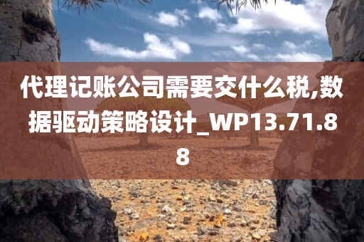 代理记账公司需要交什么税,数据驱动策略设计_WP13.71.88