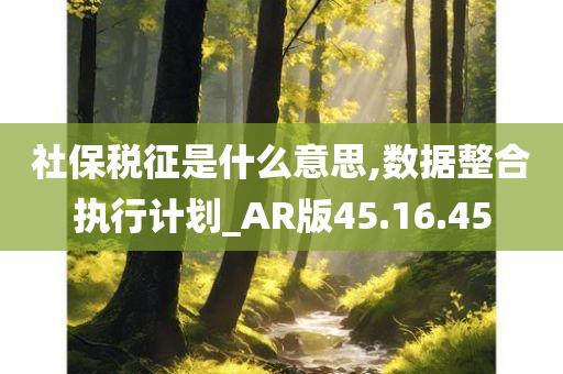 社保税征是什么意思,数据整合执行计划_AR版45.16.45