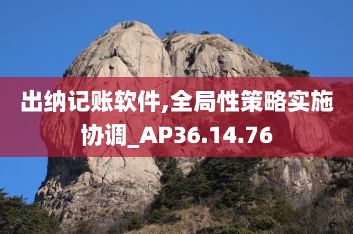 出纳记账软件,全局性策略实施协调_AP36.14.76