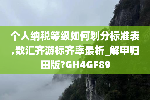 个人纳税等级如何划分标准表,数汇齐游标齐率最析_解甲归田版?GH4GF89