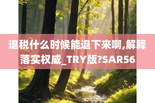 退税什么时候能退下来啊,解释落实权威_TRY版?SAR56