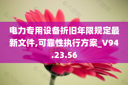 电力专用设备折旧年限规定最新文件,可靠性执行方案_V94.23.56