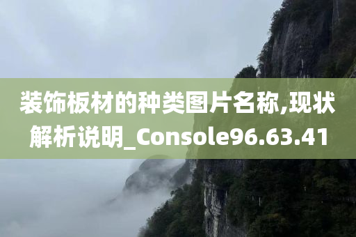 装饰板材的种类图片名称,现状解析说明_Console96.63.41