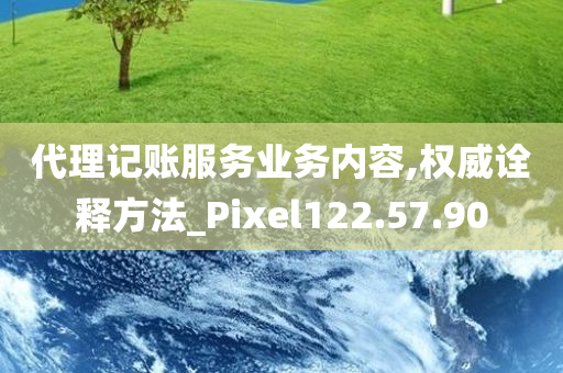 代理记账服务业务内容,权威诠释方法_Pixel122.57.90